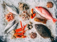 mike-bergmann-tHjXXy1kk_Q-unsplash